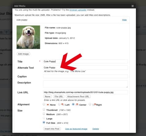alt attribute example alt attribute example