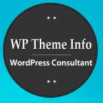 WordPress Consultant