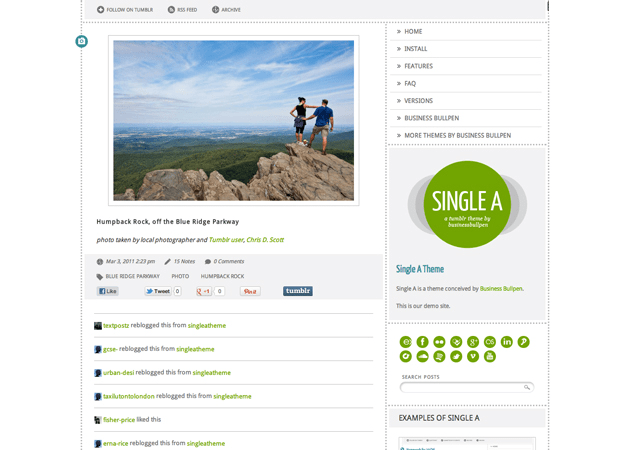 Single A Tumblr Theme