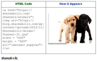 HTML 101: The Complete Guide to Understanding Code on Your Blog | The ...