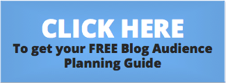 blog audience planning guide