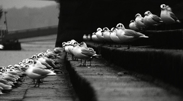 Anxious audience